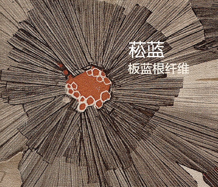 files/hSI/q/bviLzMh1bWWYc8YinchrbYZF.jpg 板藍(lán)根.jpg